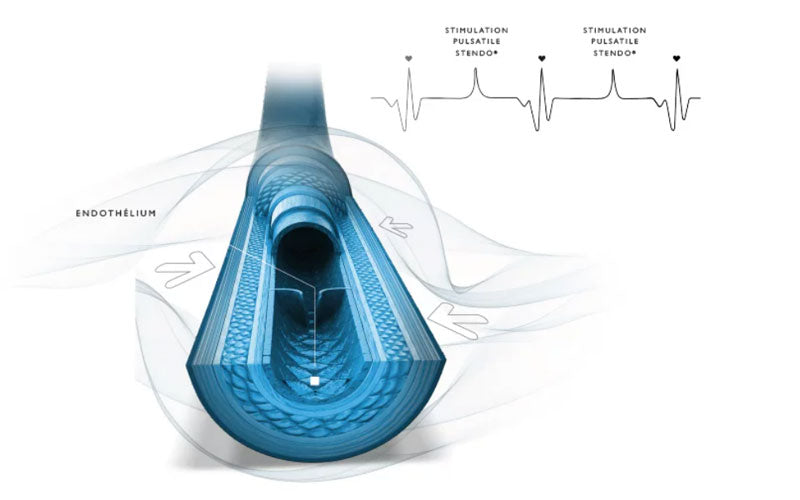 STENDO V4 Body – Endothelstimulation / Pulstherapie