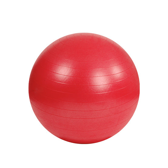 Mambo Max AB Gym Ball 55 - 95 cm